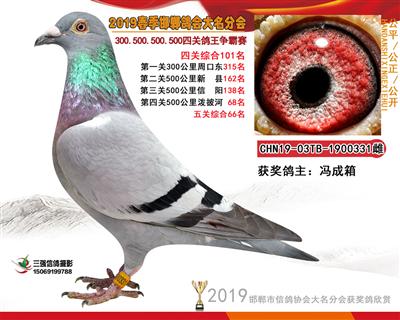 19年春四关101名