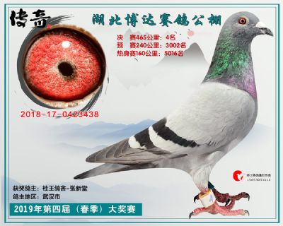湖北博达决赛4名