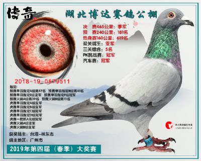 湖北博达决赛季军