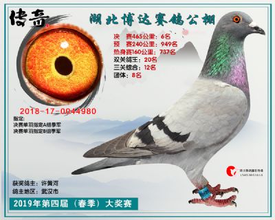 湖北博达决赛6名