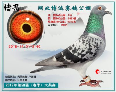 湖北博达决赛7名
