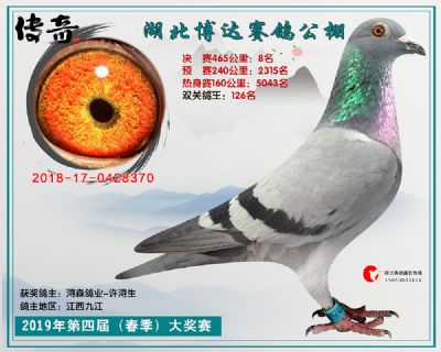 湖北博达决赛8名