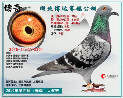 湖北博达决赛11名