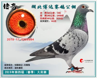 湖北博达决赛13名