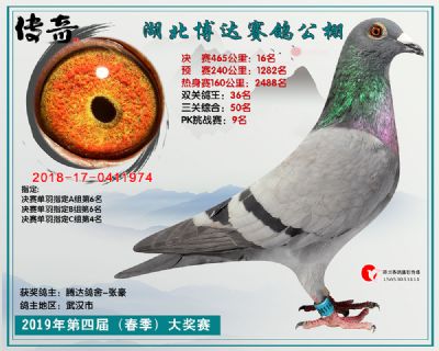 湖北博达决赛16名