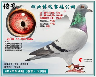 湖北博达决赛17名