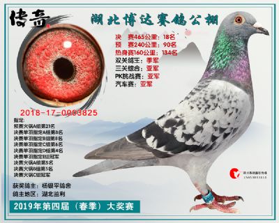湖北博达决赛18名