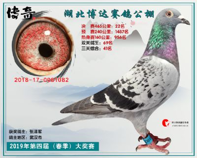 湖北博达决赛22名