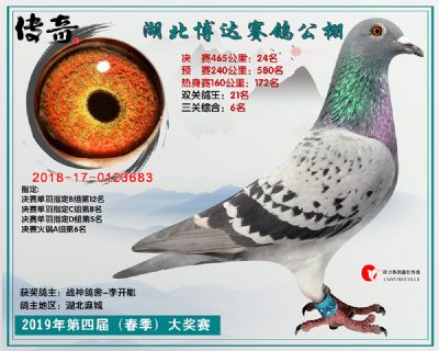 湖北博达决赛24名