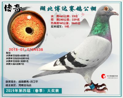 湖北博达决赛25名