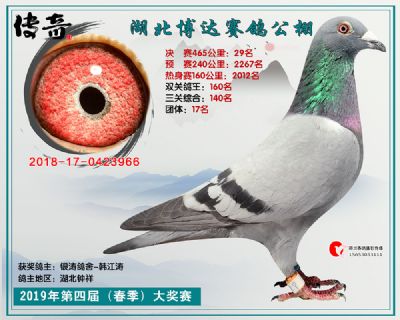 湖北博达决赛29名