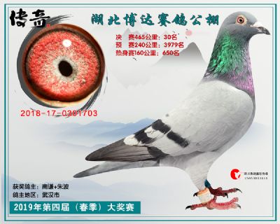 湖北博达决赛30名