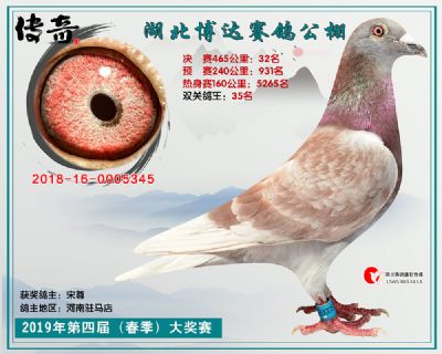 湖北博达决赛32名