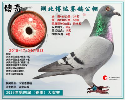 湖北博达决赛34名