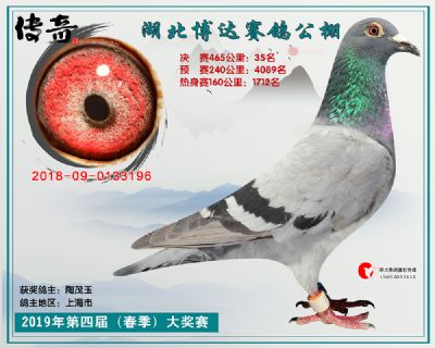 湖北博达决赛35名