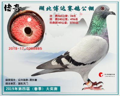 湖北博达决赛36名