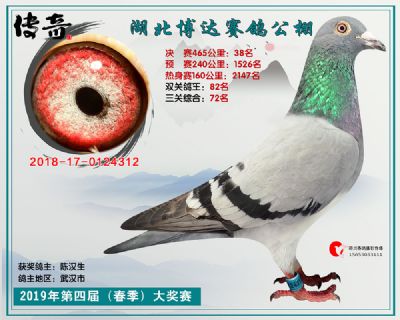 湖北博达决赛38名