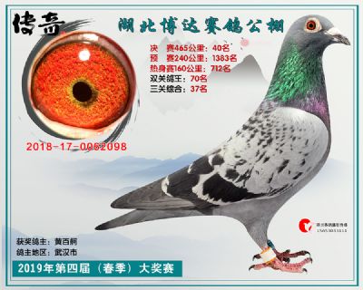 湖北博达决赛40名