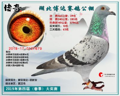 湖北博达决赛39名
