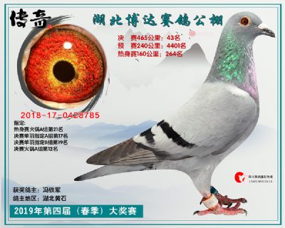 湖北博达决赛43名