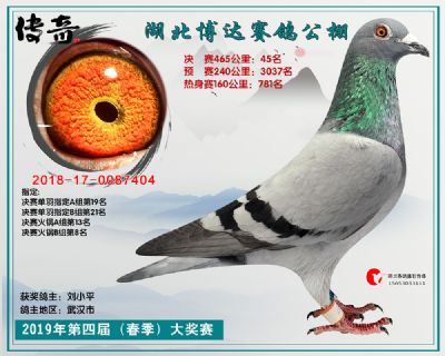 湖北博达决赛45名