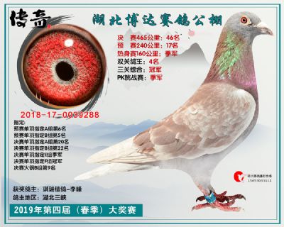 湖北博达决赛46名