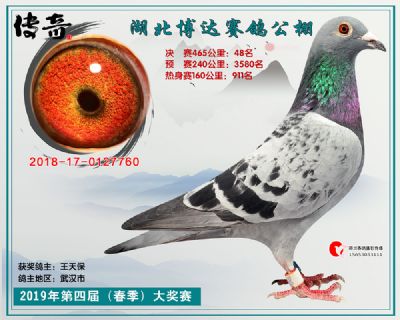 湖北博达决赛48名