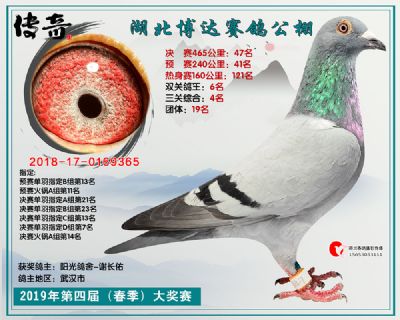 湖北博达决赛47名