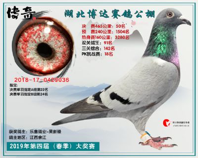 湖北博达决赛50名