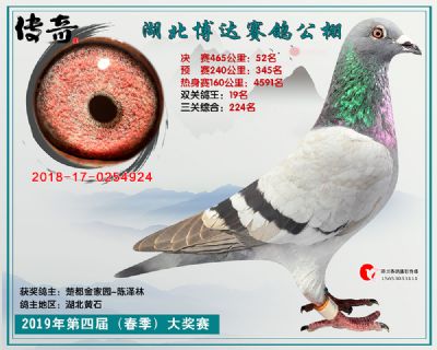 湖北博达决赛52名