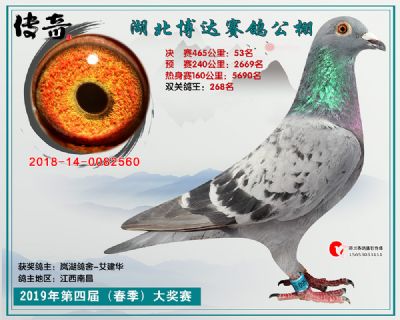 湖北博达决赛53名