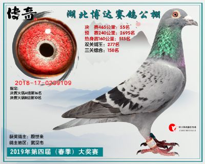湖北博达决赛55名
