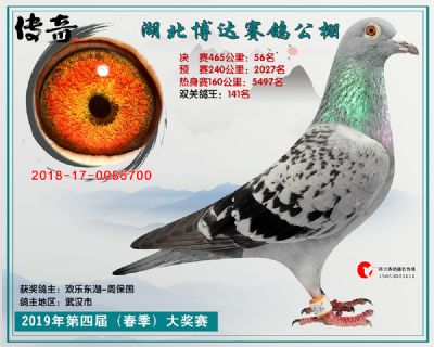 湖北博达决赛56名
