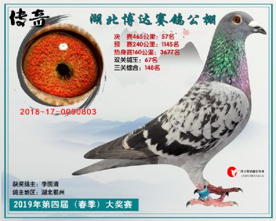 湖北博达决赛57名