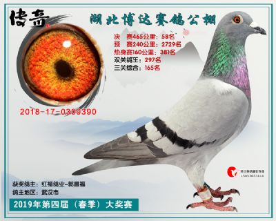 湖北博达决赛58名