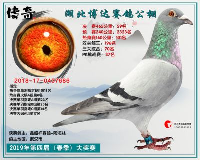 湖北博达决赛59名