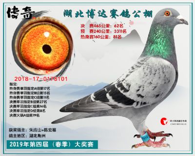 湖北博达决赛62名