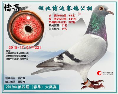 湖北博达决赛64名