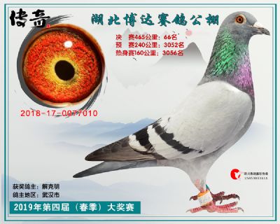 湖北博达决赛66名