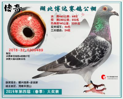 湖北博达决赛68名