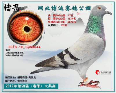 湖北博达决赛67名