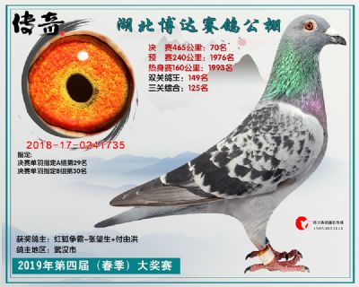 湖北博达决赛70名