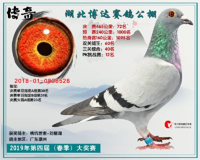 湖北博达决赛72名