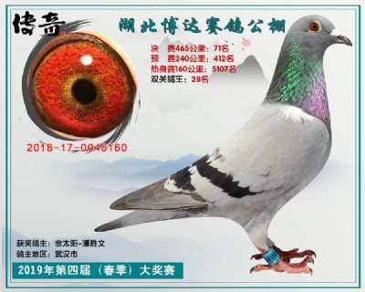 湖北博达决赛71名