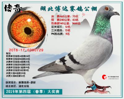 湖北博达决赛75名