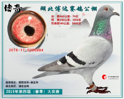 湖北博达决赛74名