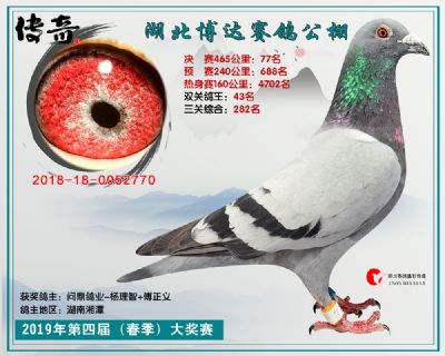 湖北博达决赛77名