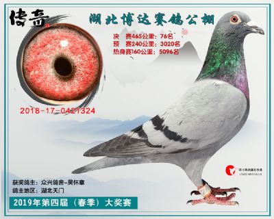 湖北博达决赛76名
