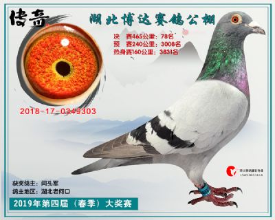 湖北博达决赛78名