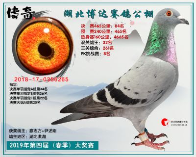 湖北博达决赛84名